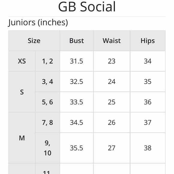 NWT GB Social Ditzy Embroidered Mesh Ladder Dress - Picture 8 of 8